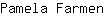 P***n