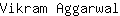 V***l