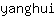 y***i