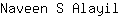 N***l