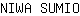 N***O