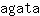 a***a