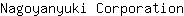 N***n