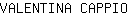 V***O
