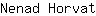 N***t