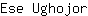 E***r