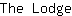 T***e