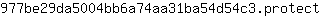 9***t