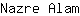 N***m