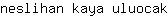 n***k
