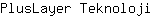 P***i