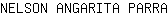 N***A