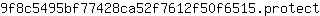 9***t
