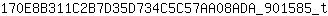 1***t