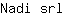 N***l