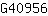 G***6