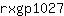 r***7