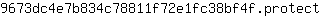 9***t