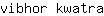v***a