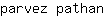 p***n