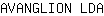 A***A