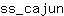 s***n