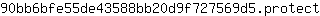 9***t