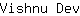 V***v