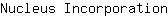 N***n