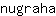 n***a