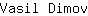 V***v