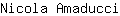 N***i