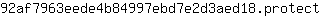 9***t