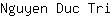 N***i