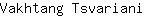 V***i