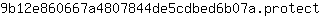 9***t