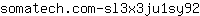s***2