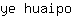y***o