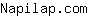 N***m