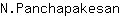 N***n
