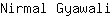 N***i