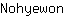 N***n