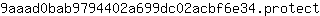 9***t