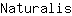 N***s