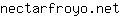 n***t