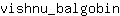 v***n
