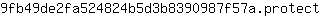 9***t