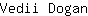 V***n