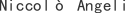 N***i