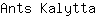 A***a